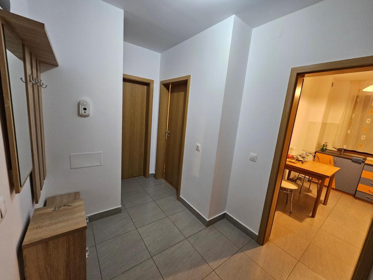 Elena'S Studio Brasov Coresi Εξωτερικό φωτογραφία