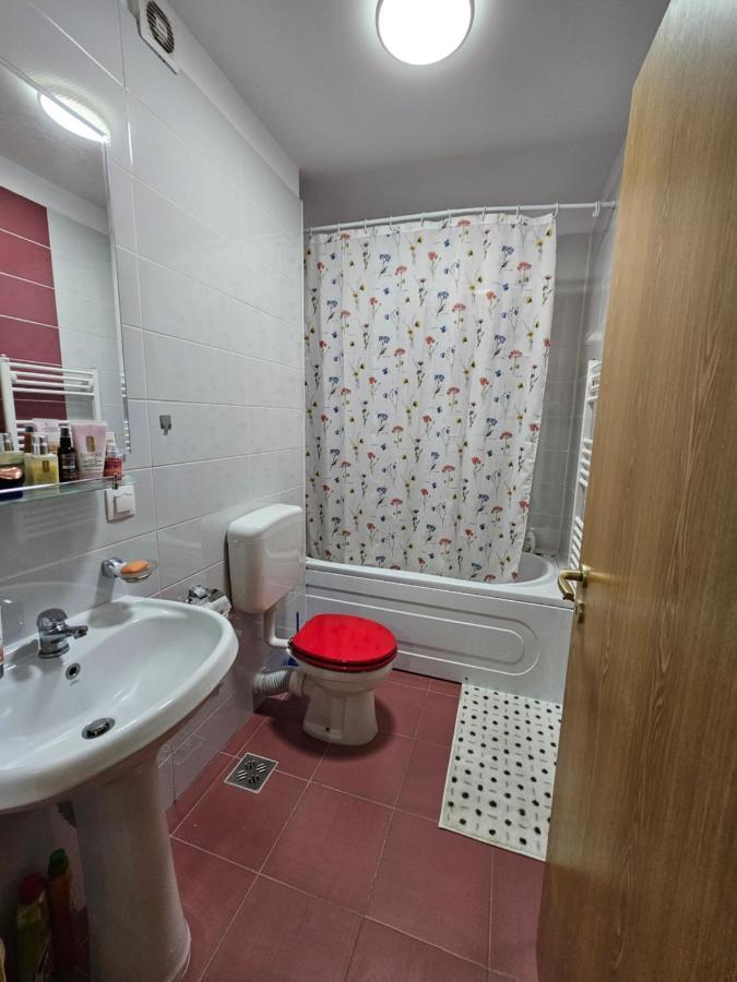 Elena'S Studio Brasov Coresi Εξωτερικό φωτογραφία